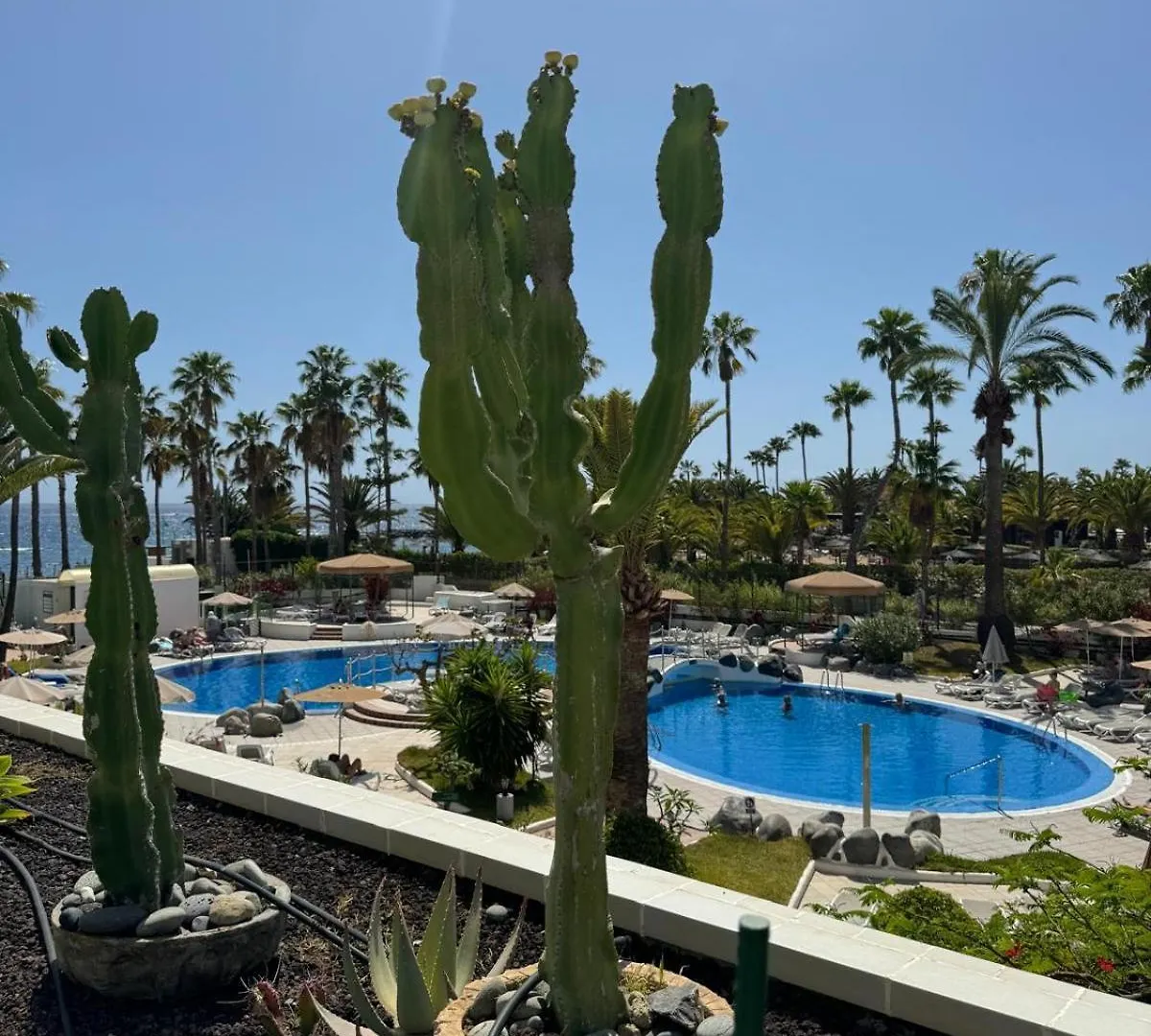 Classy Studio La Caleta location