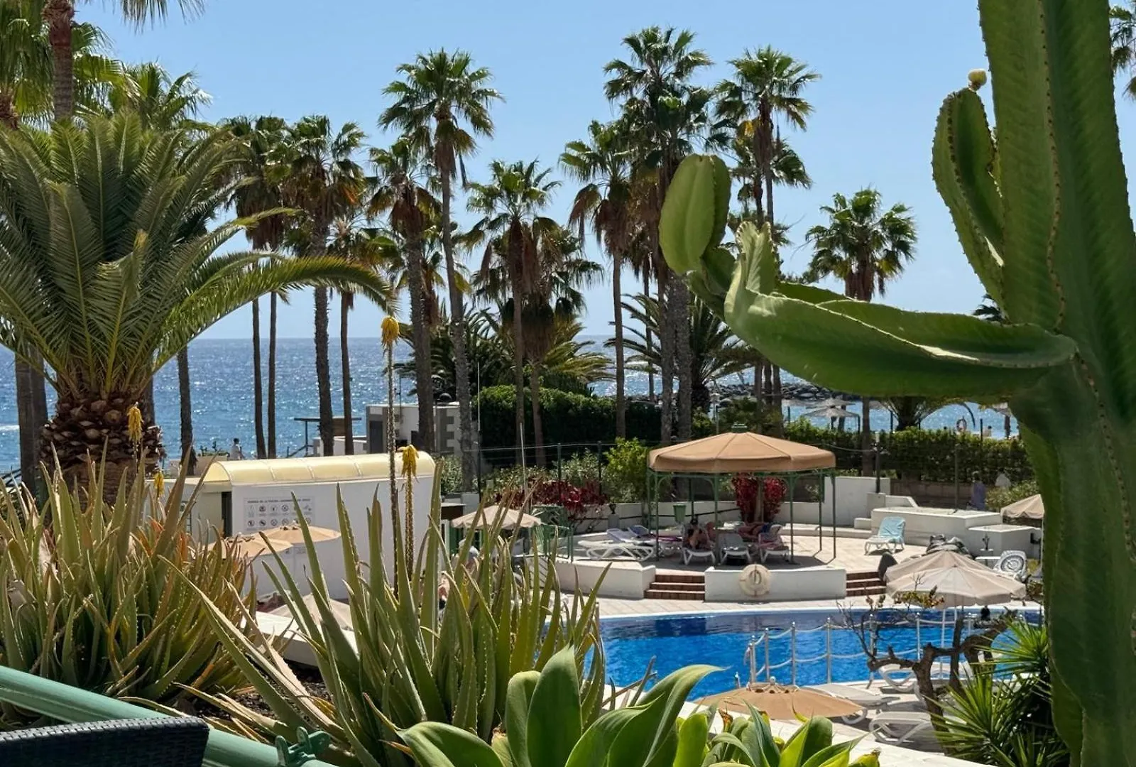 Lägenhet Classy Studio La Caleta Costa Adeje
