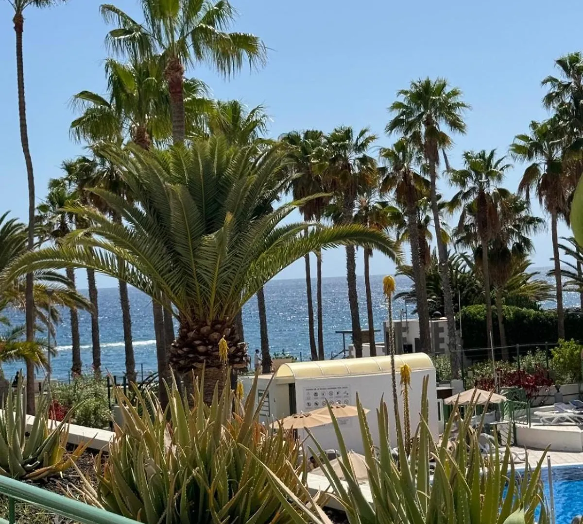 Lägenhet Classy Studio La Caleta Costa Adeje